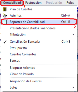 Reportes Contabilidad